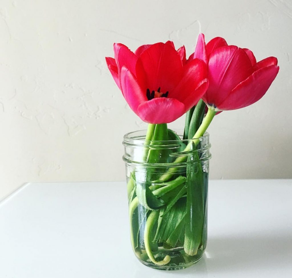 get rid your stuff declutter your life