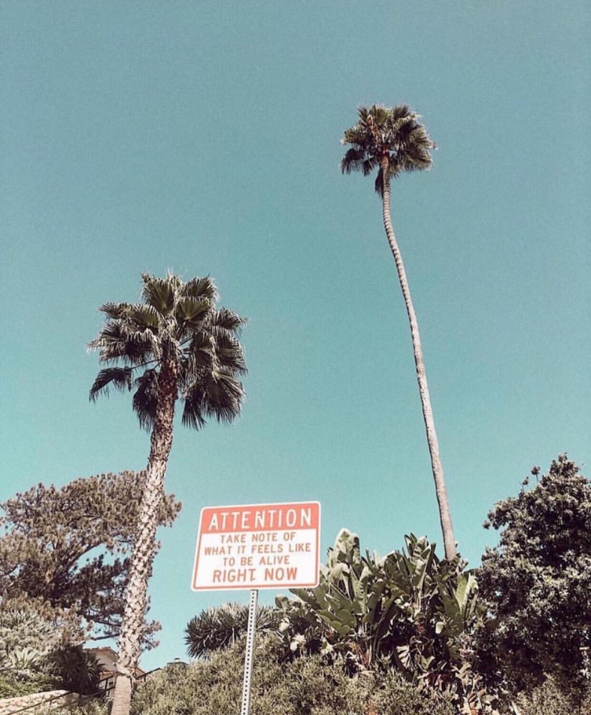 Quotes to help you declutter your mind