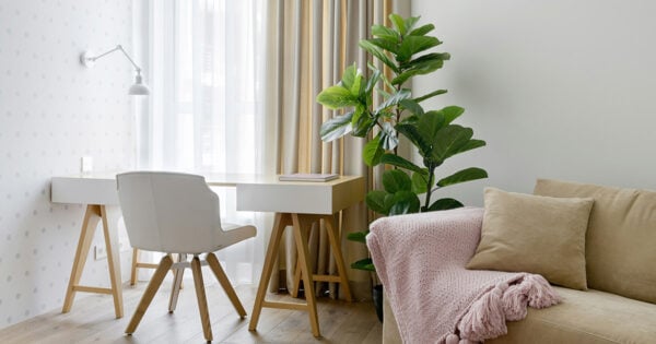 8 Things To Let Go of Today for a Simpler Life Tomorrow