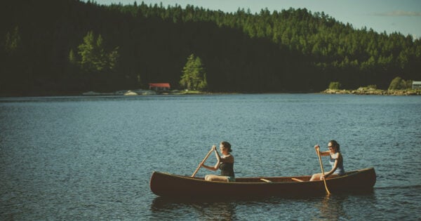 digital minimalism, gentleness and the truth about stress