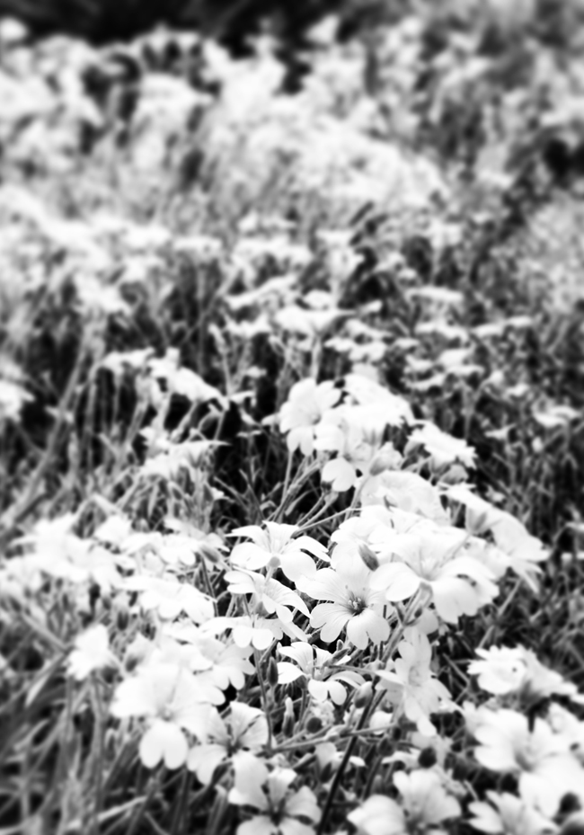 The Difference Between Simplicity and Minimalism